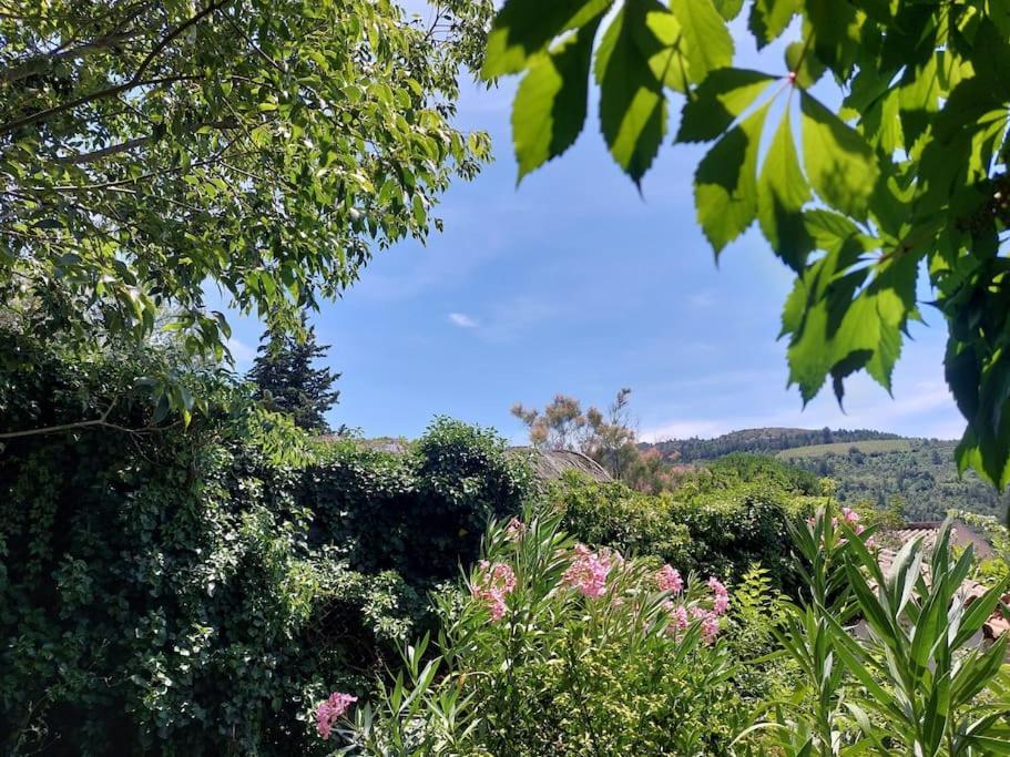 Vue De Rennes-Le-Chateau Couiza Eksteriør bilde